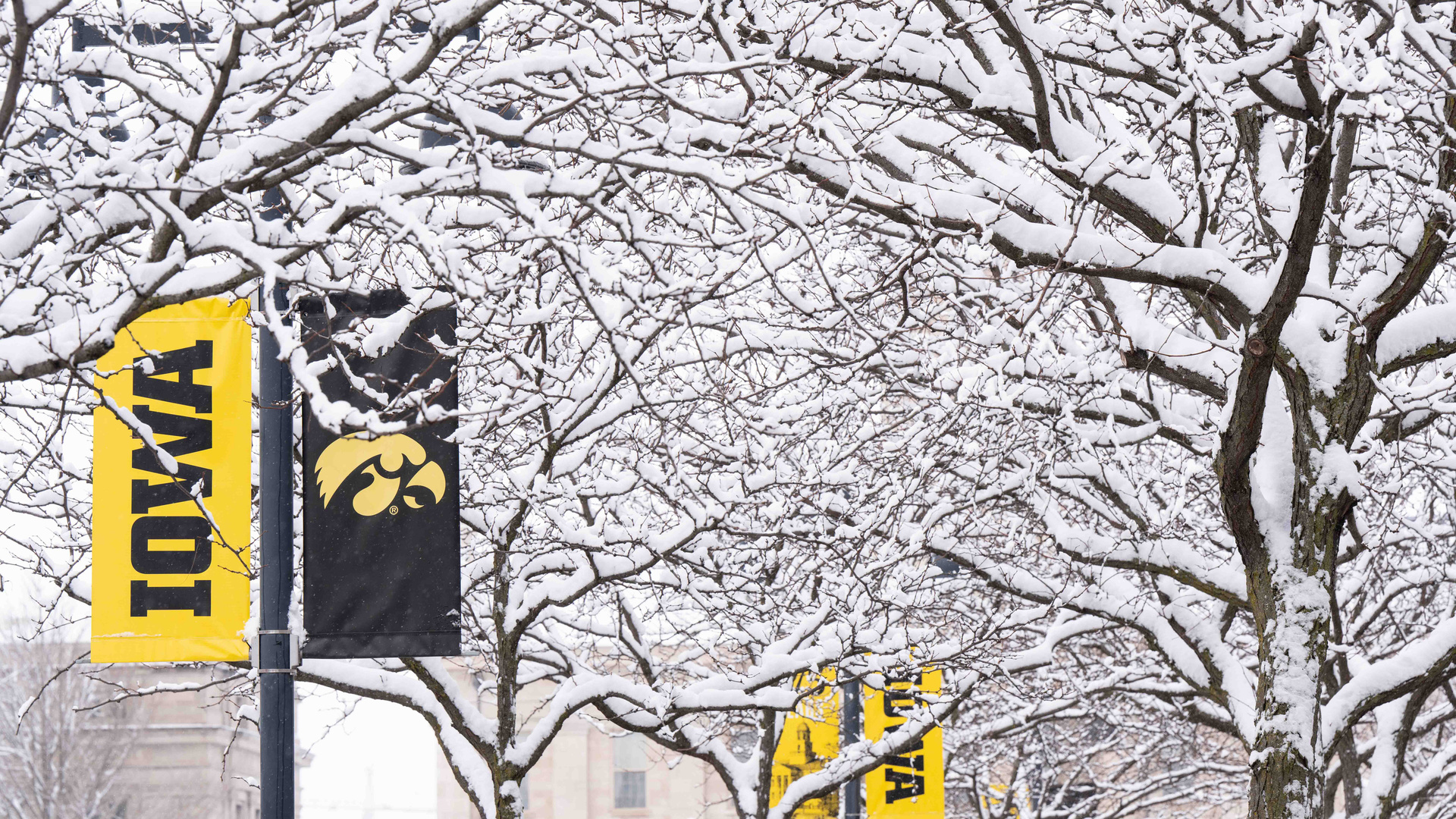 Payroll Services University Human Resources The University of Iowa